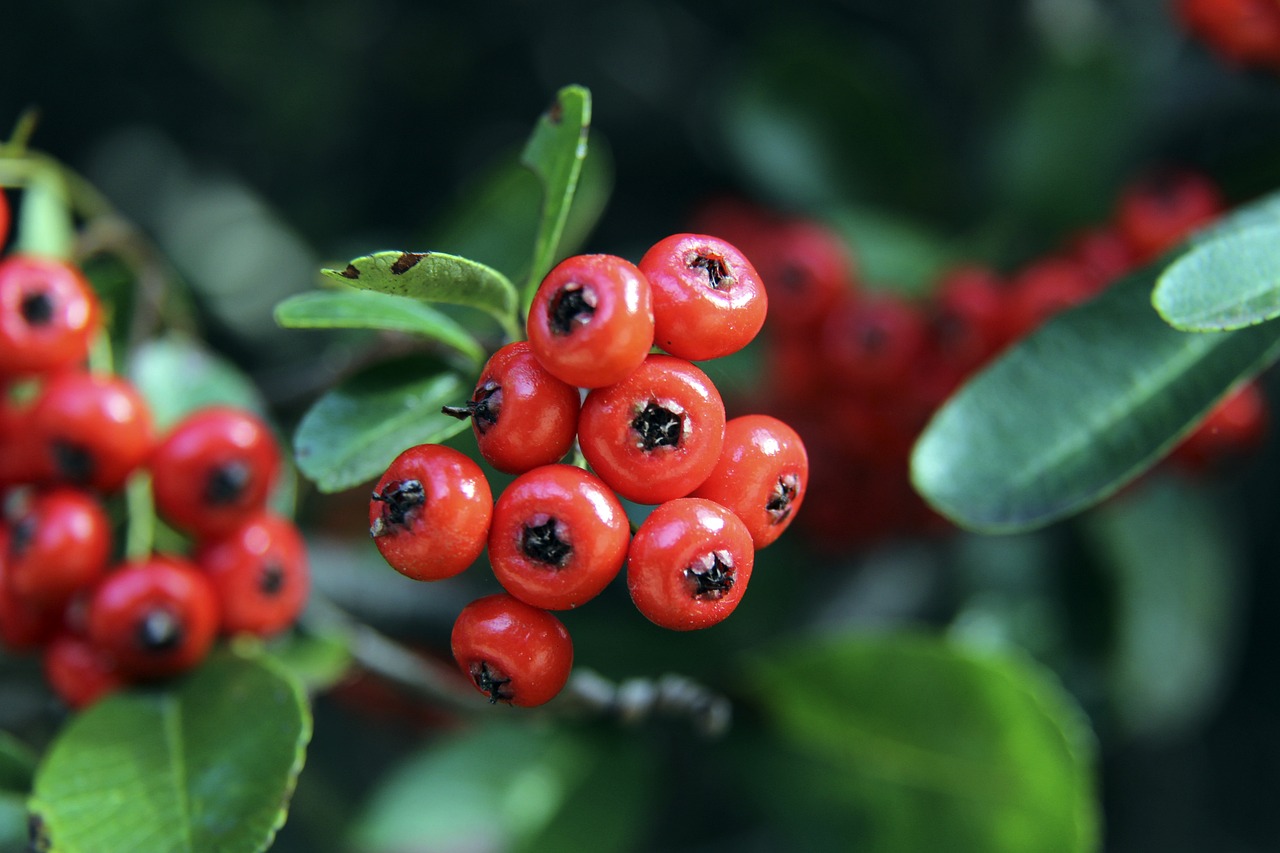 和球员的表 和球员的表