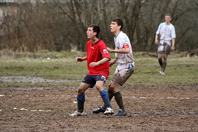 英超赛场上 英超赛场上