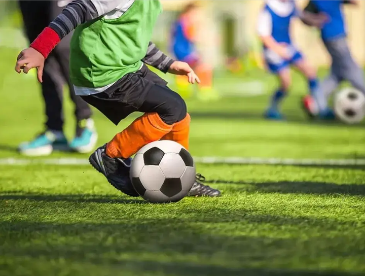 加盟将增加 加盟将增加