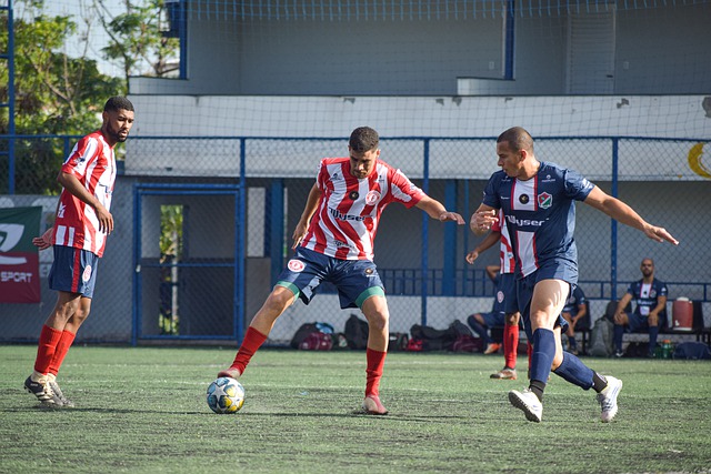 变能力的弱 变能力的弱