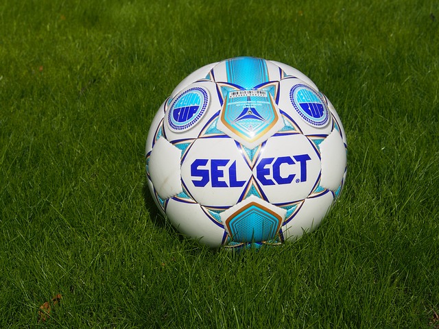 通过采访嘉 通过采访嘉