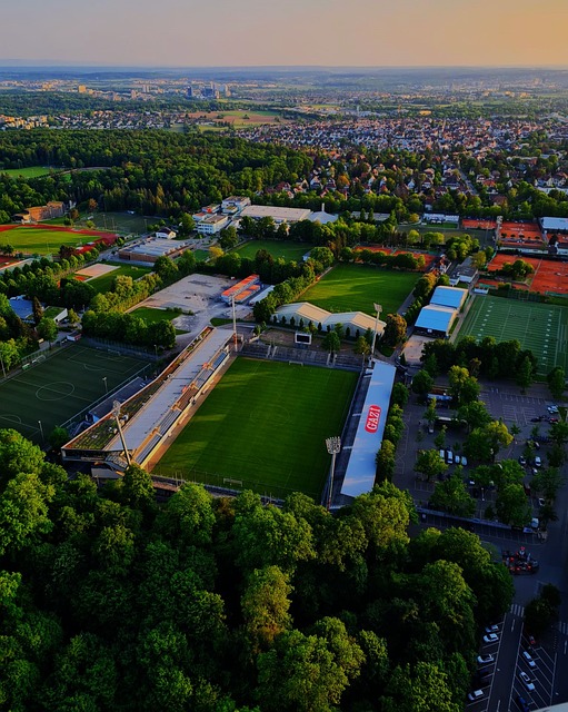 维奇来说 维奇来说