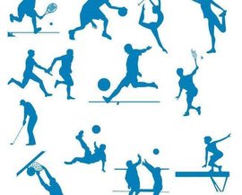 年的印尼公 年的印尼公