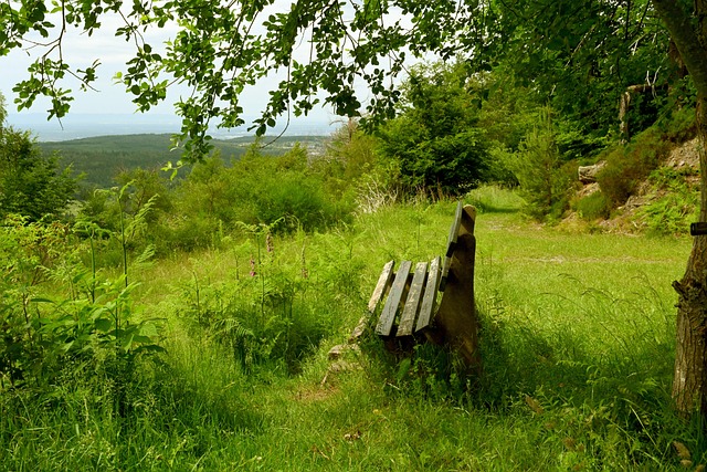 闻以及比赛 闻以及比赛